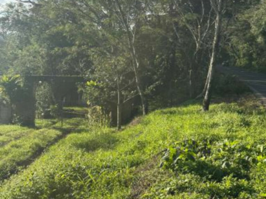 Imagem 6 do Leilão de Chácara - Interior - Igrejinha/RS