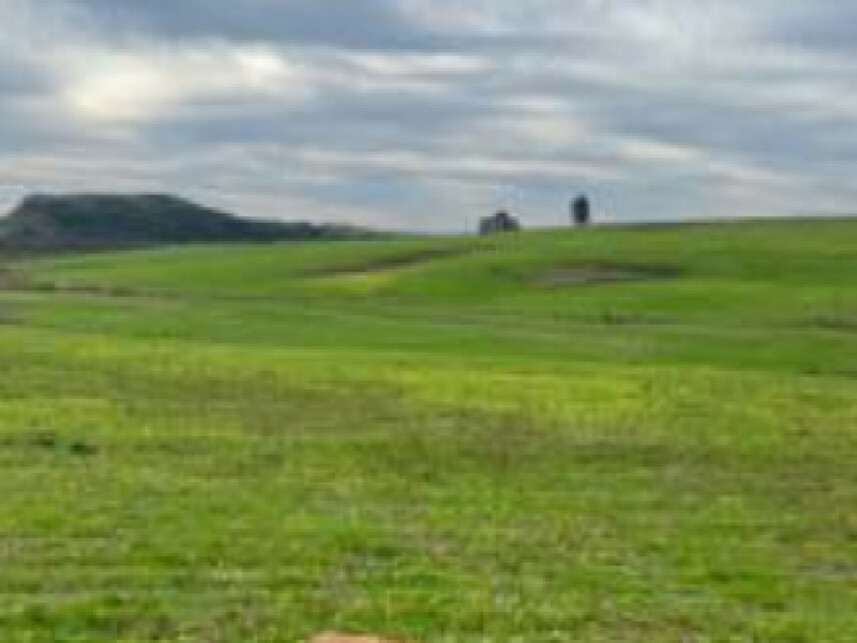 Imagem 4 do Leilão de Chácara - Zona Rural - Rosário do Sul/RS
