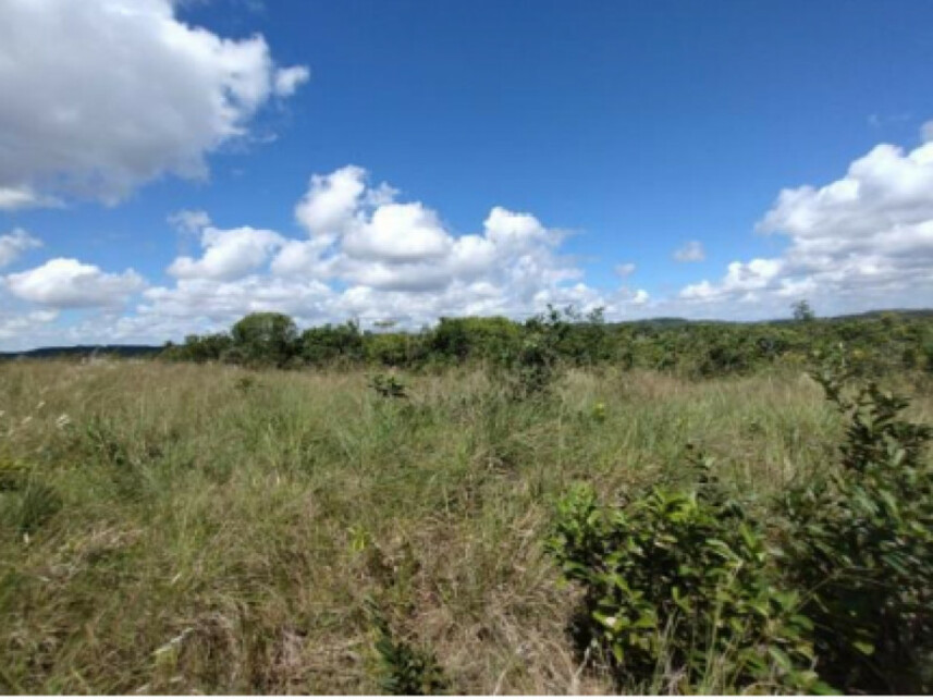 Imagem 4 do Leilão de Terreno - Povoado Duro - Itaporanga D'ajuda/SE