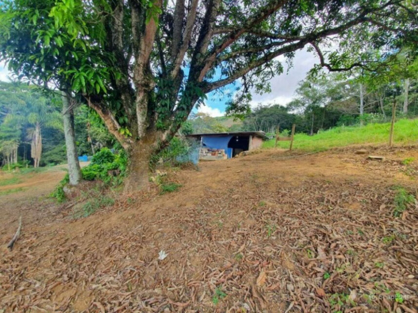 Imagem 4 do Leilão de Fazenda - Graminha - Volta Grande/MG