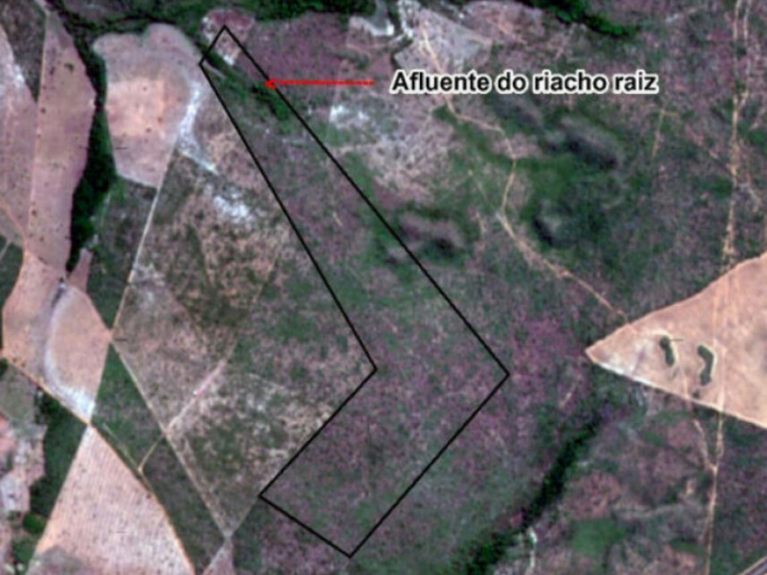 Imagem 2 do Leilão de Fazenda - Zona Rural - Lajeado Novo/MA