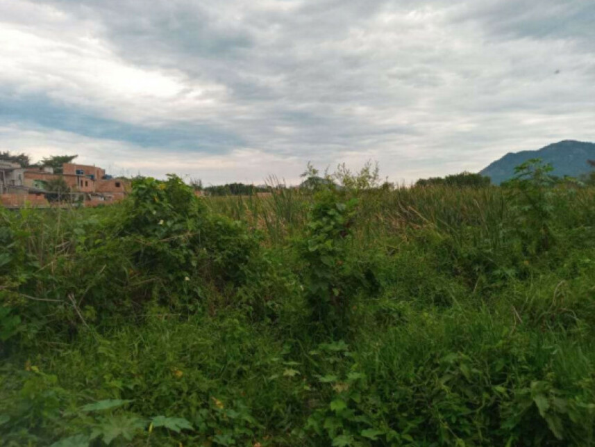 Imagem 5 do Leilão de Terreno - Recreio dos Bandeirantes - Rio de Janeiro/RJ