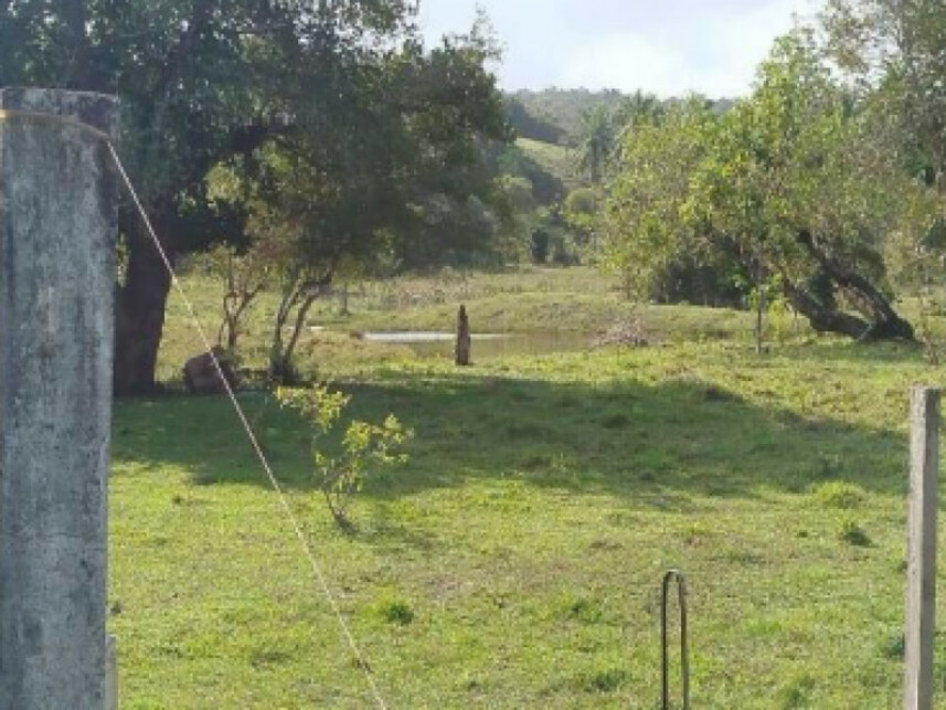 Imagem 5 do Leilão de Terreno - Distrito de Pirajuia - Jaguaripe/BA