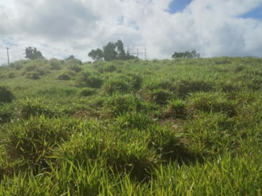 Imagem 4 do Leilão de Terreno - Parque das Margaridas - Salinas da Margarida/BA