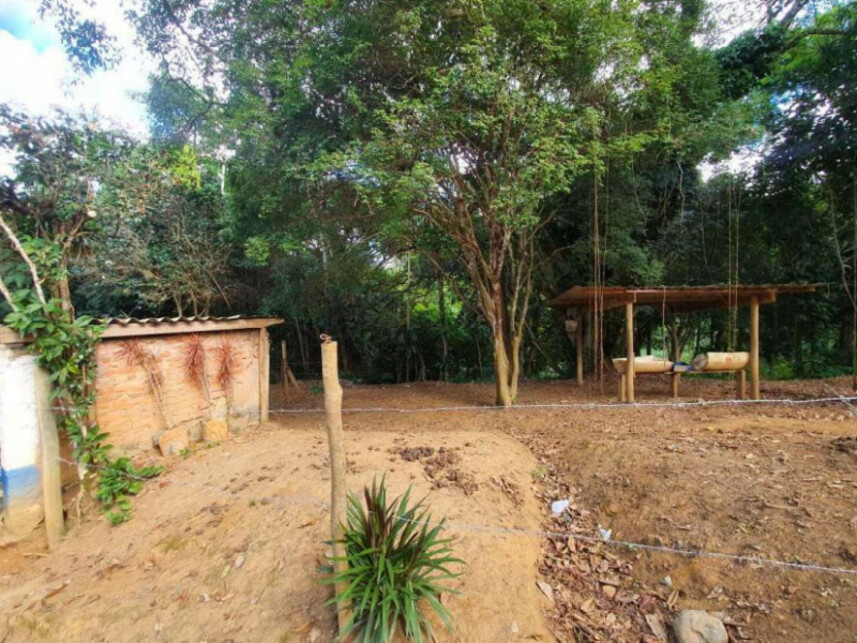 Imagem 8 do Leilão de Fazenda - Graminha - Volta Grande/MG