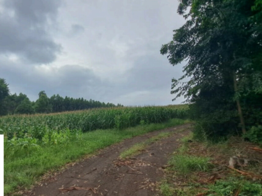 Imagem 4 do Leilão de Terreno - Distrito de Alto da Serra - Chapecó/SC
