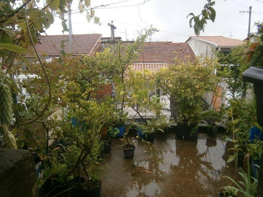 Imagem 10 do Leilão de Casa - Jardim Maria Virginia - São Paulo/SP