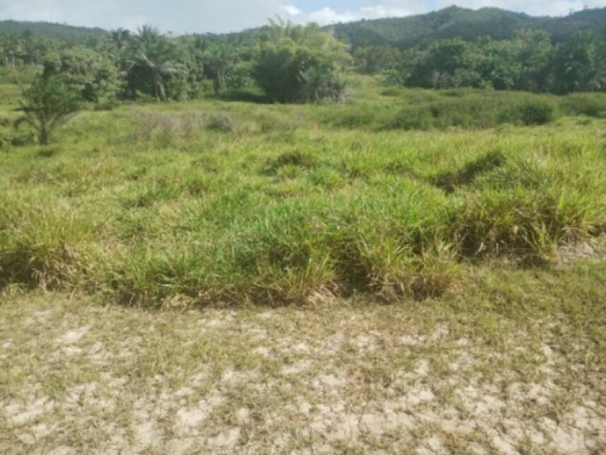 Imagem 5 do Leilão de Terreno - Parque das Margaridas - Salinas da Margarida/BA