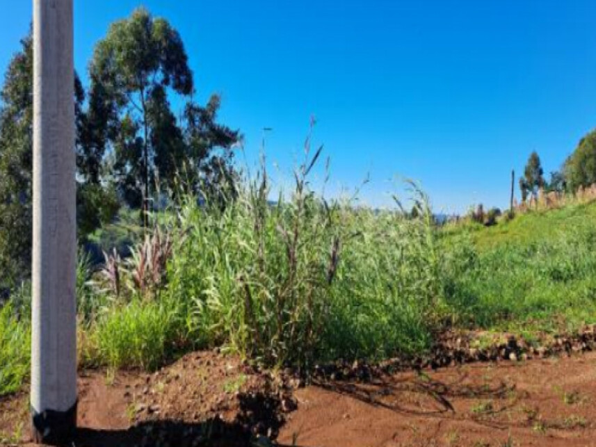 Imagem 6 do Leilão de Terreno - Interior - Cordilheira Alta/SC