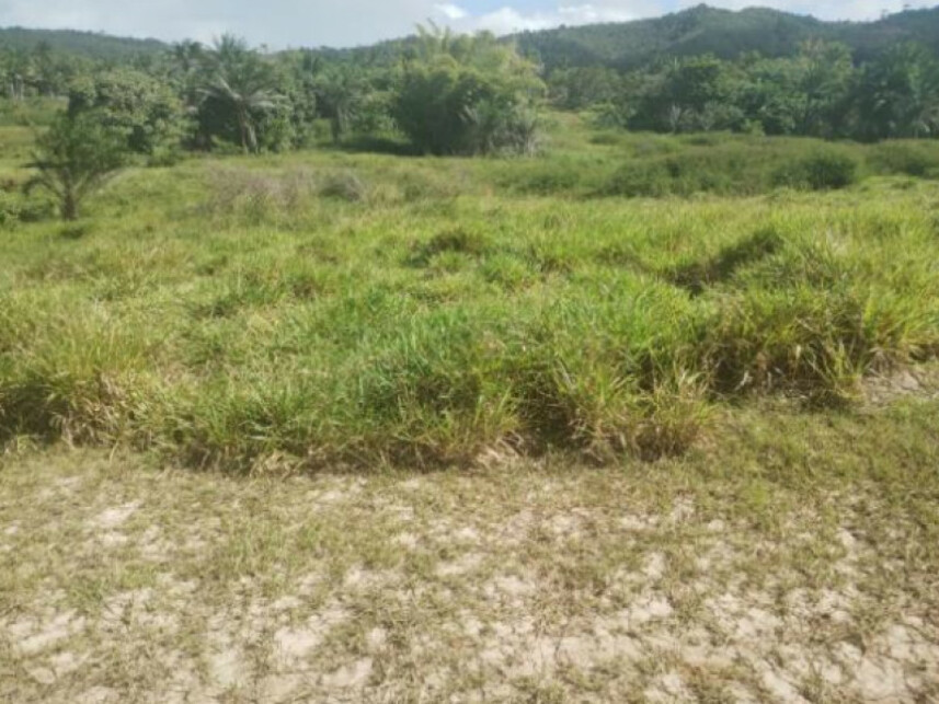 Imagem 5 do Leilão de Terreno - Parque das Margaridas - Salinas da Margarida/BA