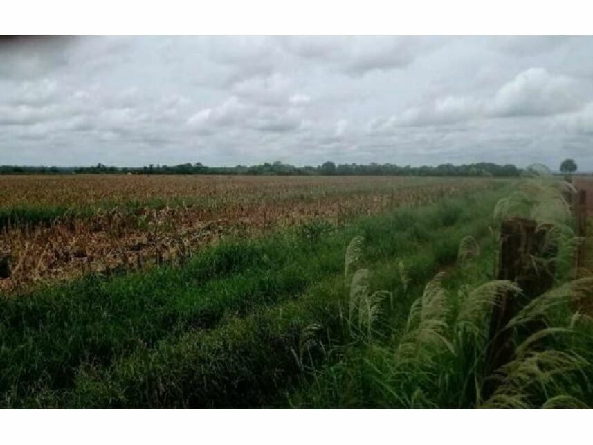 Imagem 11 do Leilão de Área Rural - Zona Rural - Goiatuba/GO