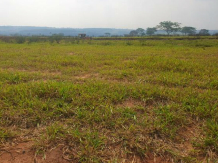 Imagem 3 do Leilão de Terreno - Jardim Botânico I - Marília/SP