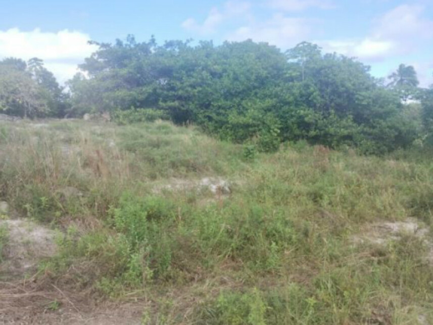 Imagem 6 do Leilão de Terreno - Parque das Margaridas - Salinas da Margarida/BA