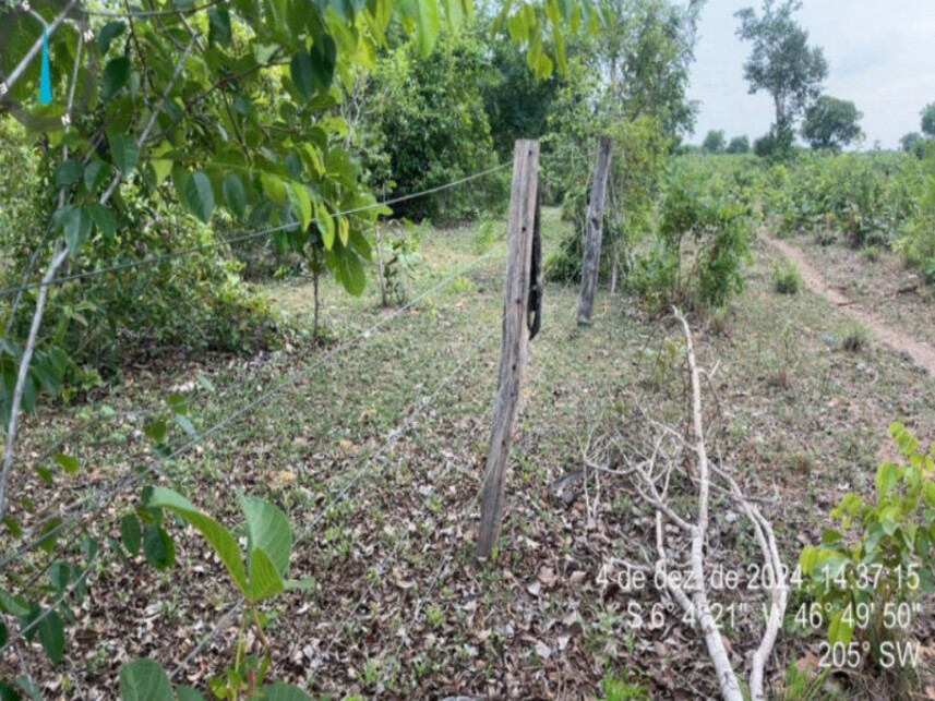 Imagem 6 do Leilão de Fazenda - Zona Rural - Lajeado Novo/MA