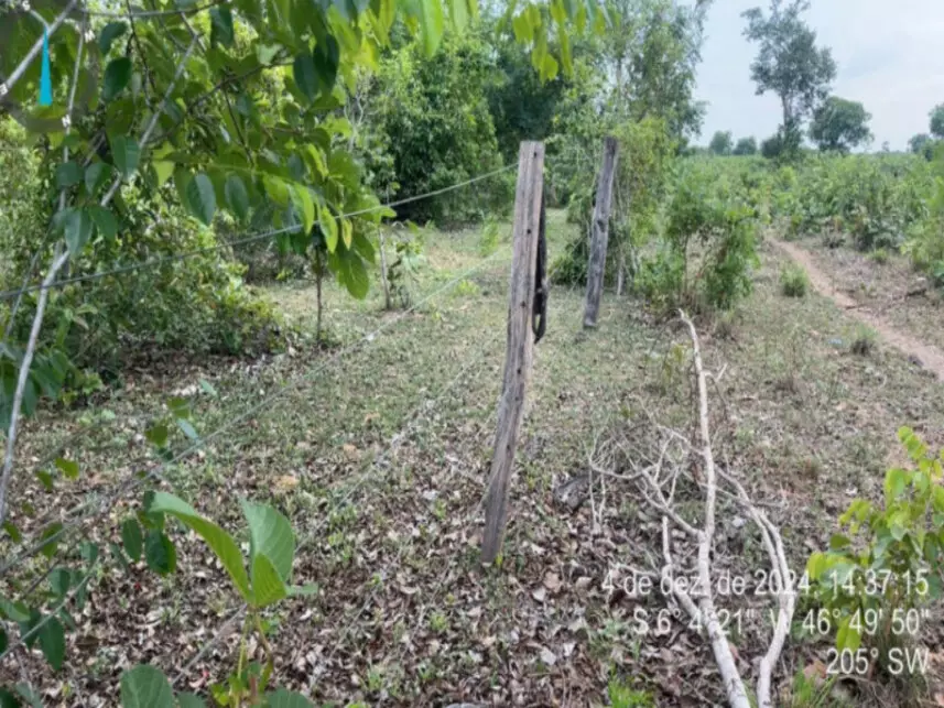 Leilão de Residencial Imóvel em Lajeado Novo/MA - Lance Inicial R$ 955.675 - Extrajudicial