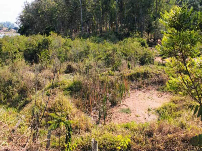 Leilão de Comercial Imóvel em Monte Belo/MG - Lance Inicial R$ 103.000 - Extrajudicial
