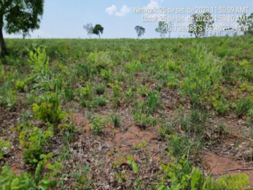 Imagem 3 do Leilão de Terreno - Água Fria - Chapada dos Guimarães/MT