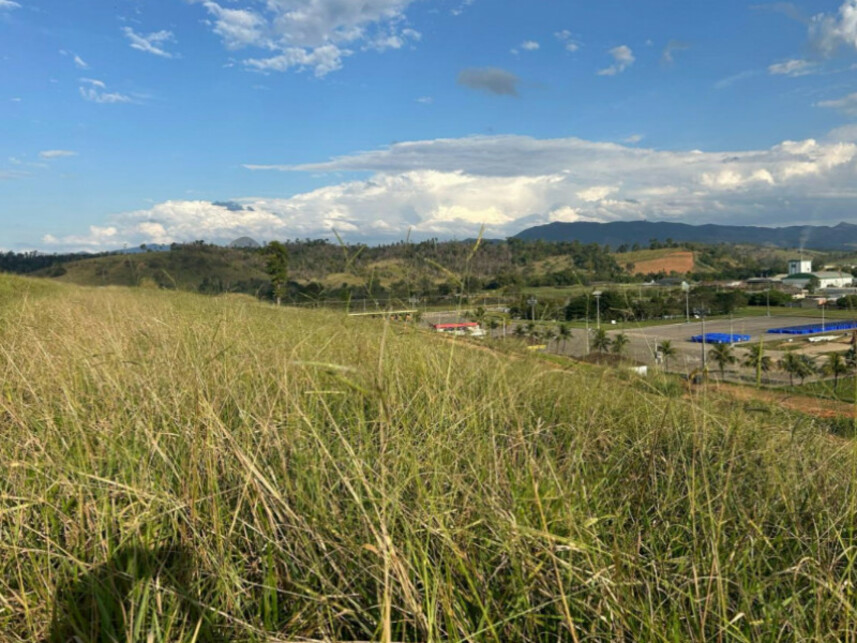 Imagem 2 do Leilão de Terreno - Loteamento Demerval Costa - Mutum/MG
