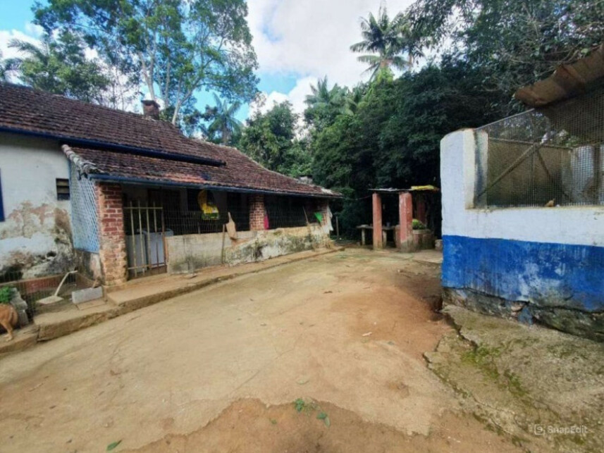 Imagem 3 do Leilão de Fazenda - Graminha - Volta Grande/MG