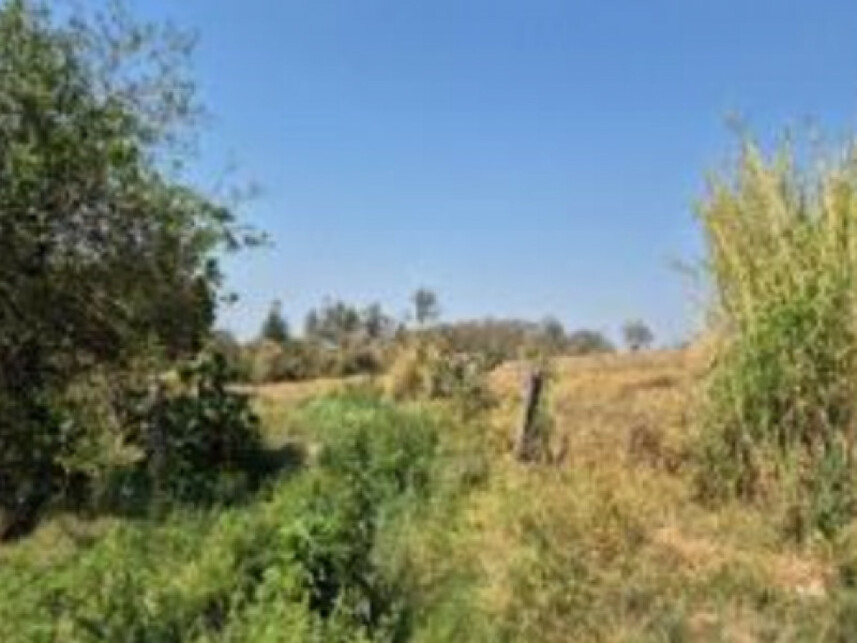 Imagem 3 do Leilão de Terreno - Loteamento Jardim Santa Rita de Cássia - Capivari/SP