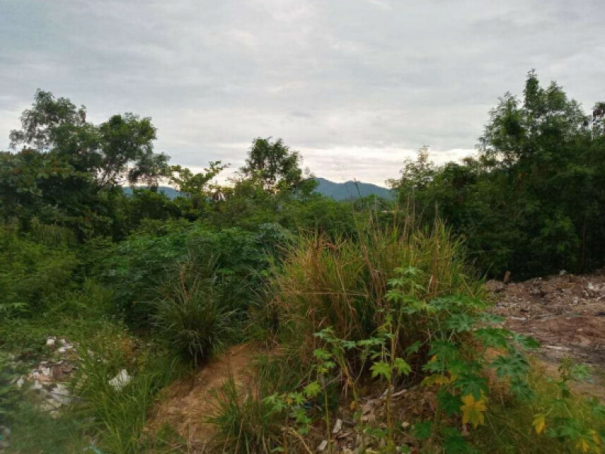 Imagem 7 do Leilão de Terreno - Recreio dos Bandeirantes - Rio de Janeiro/RJ
