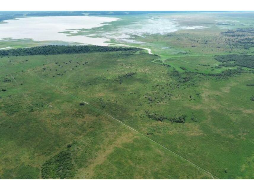 Imagem 3 do Leilão de Área Rural - Zona Rural - Santo Antônio do Leverger/MT