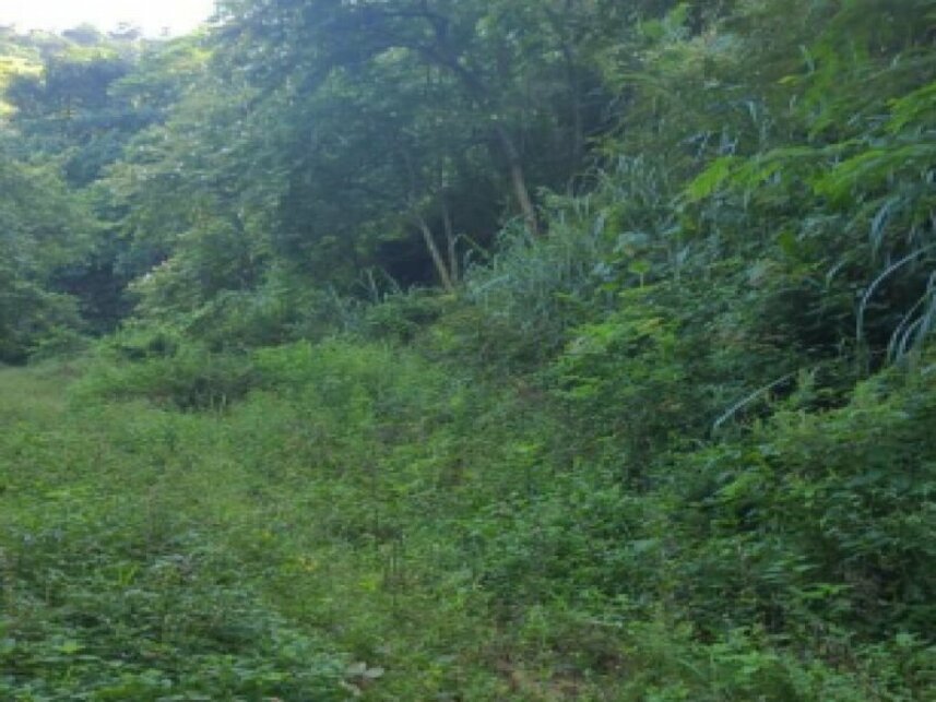 Imagem  do Leilão de Terreno - Freguesia Jacarepaguá - Rio de Janeiro/RJ