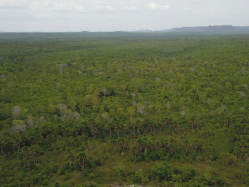 Imagem 8 do Leilão de Fazenda - Zona Rural - Lajeado Novo/MA
