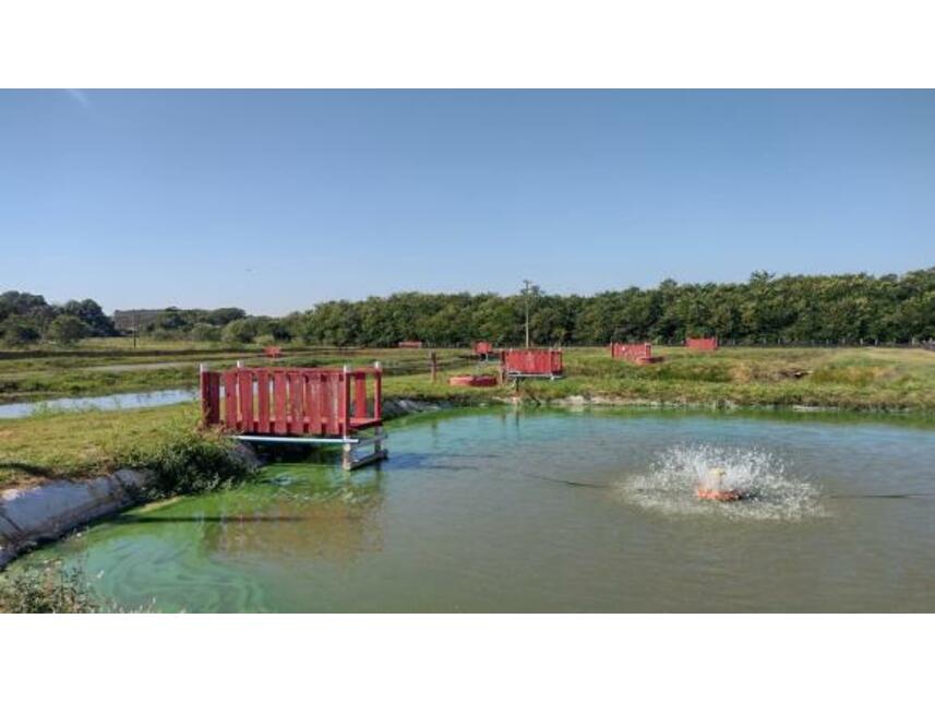 Imagem 22 do Leilão de Áreas Rurais - Gleba Pau Dalho - São João do Pau D'alho/SP