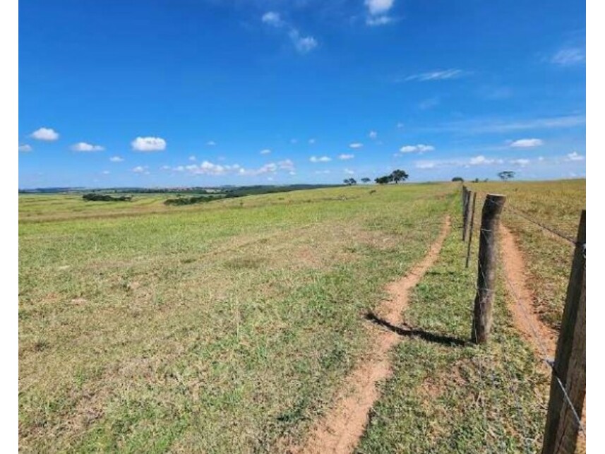 Imagem 4 do Leilão de Fazenda - Área Rural de Getulina - Getulina/SP