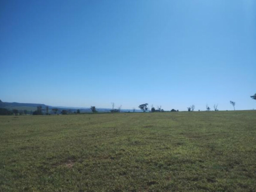 Imagem 5 do Leilão de Chácara - Sítio Recanto Tropical - Ribeirão Bonito/SP