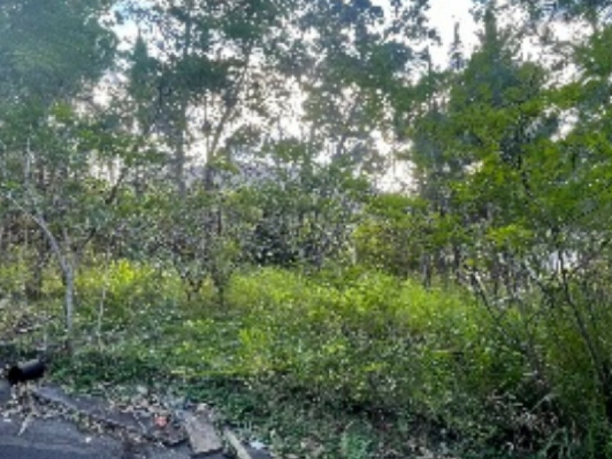 Imagem 2 do Leilão de Fazenda - Fazenda - Itajaí/SC