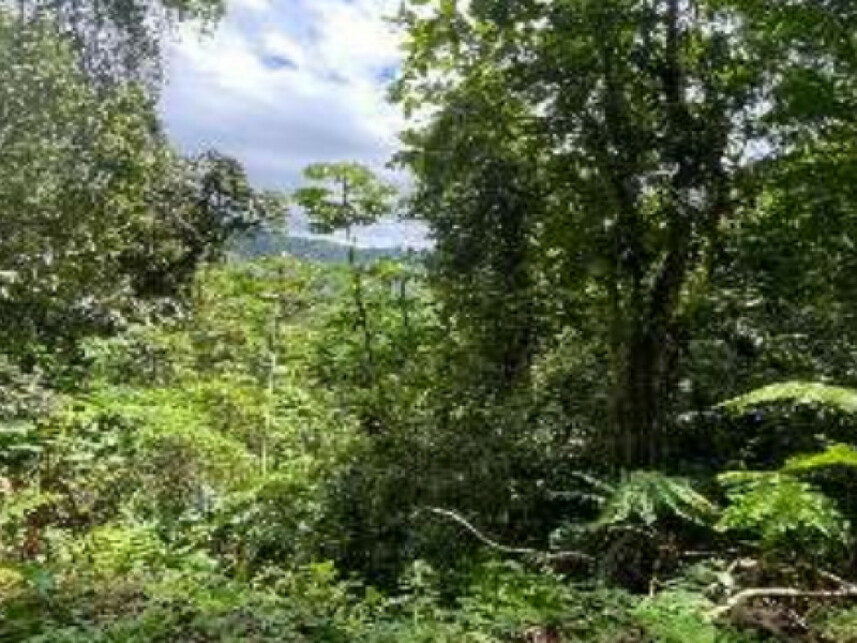 Imagem 3 do Leilão de Área Rural - Progresso - Blumenau/SC