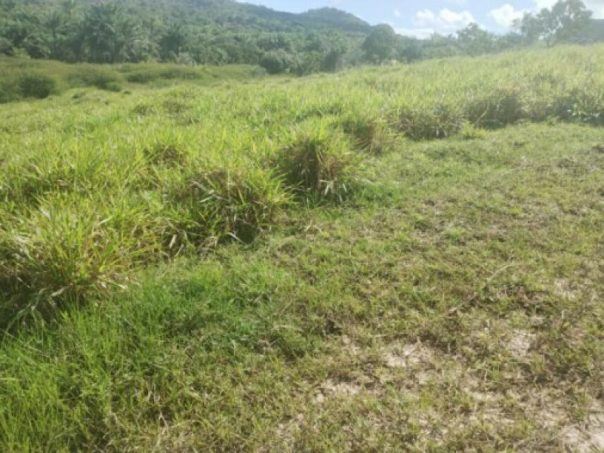 Imagem 3 do Leilão de Terreno - Parque das Margaridas - Salinas da Margarida/BA