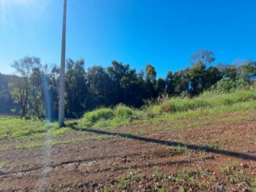Imagem 3 do Leilão de Terreno - Interior - Cordilheira Alta/SC