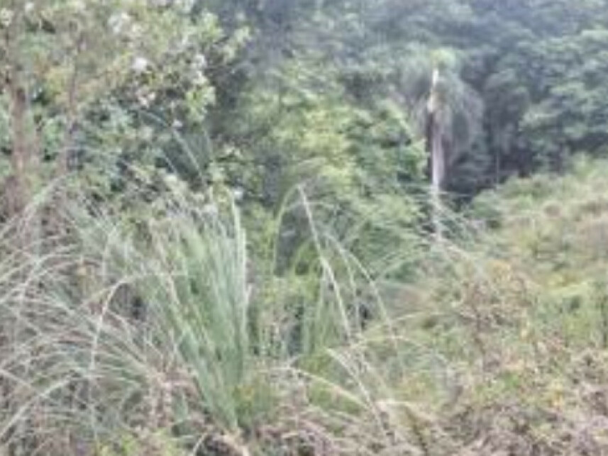 Imagem 11 do Leilão de Área Rural - Centro - Canela/RS