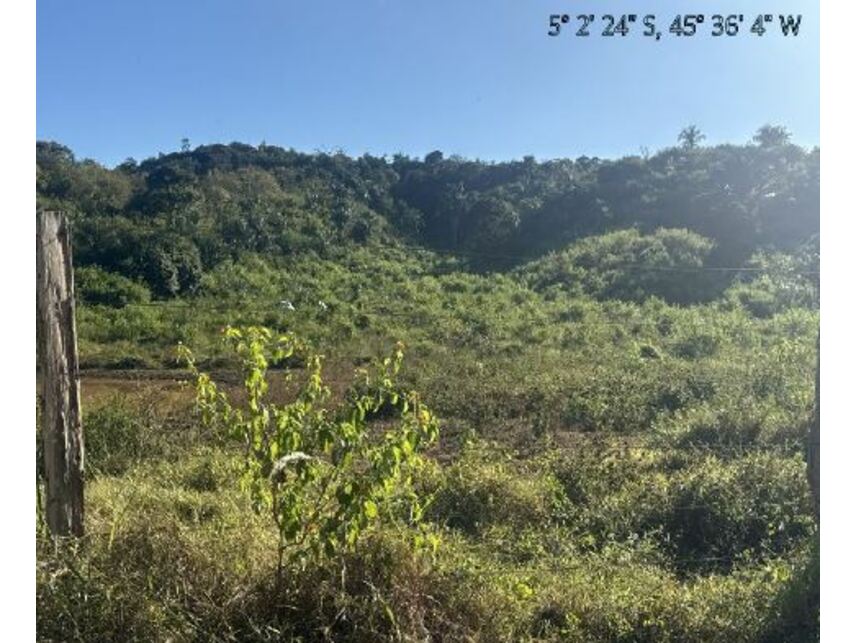 Imagem 11 do Leilão de Área Rural - Zona Rural - Itaipava do Grajaú/MA
