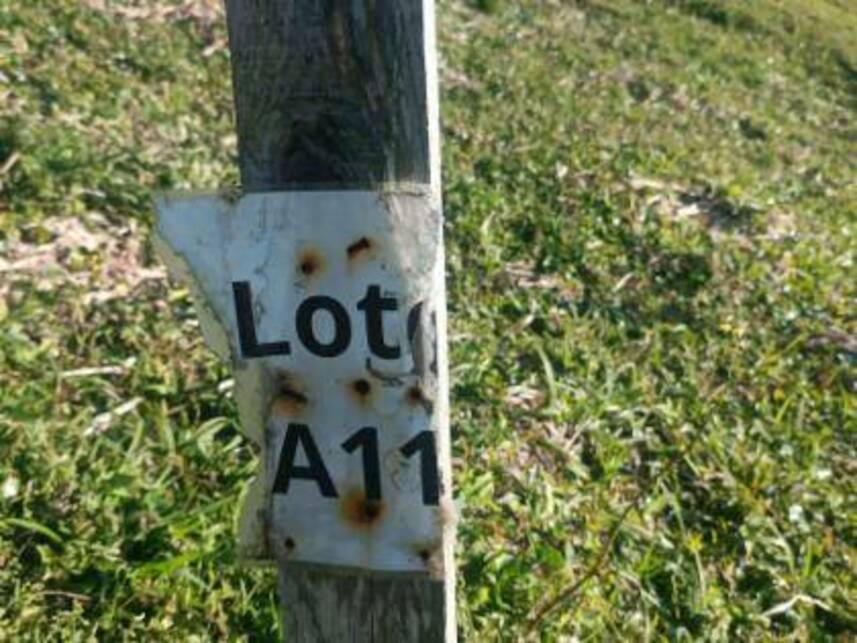 Imagem 5 do Leilão de Lote - Pantano do Sul - Florianópolis/SC