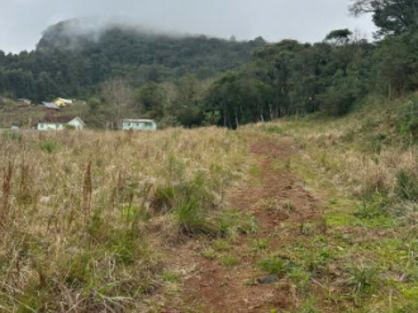 Imagem 11 do Leilão de Terreno - Várzea Grande - Gramado/RS