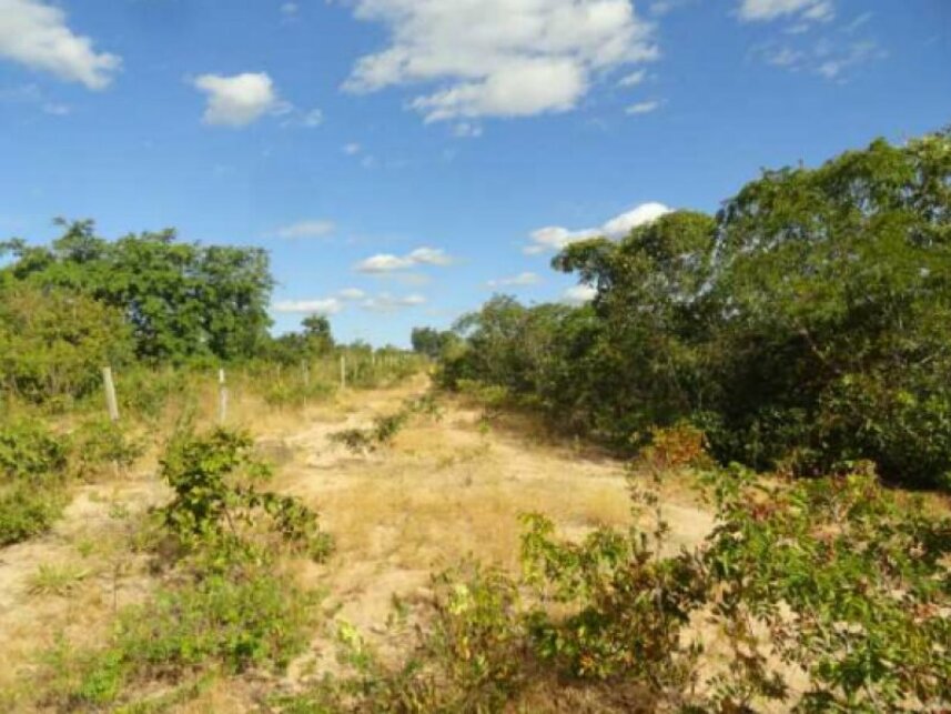 Imagem  do Leilão de Terreno - Santa Rita - Alto Parnaíba/MA