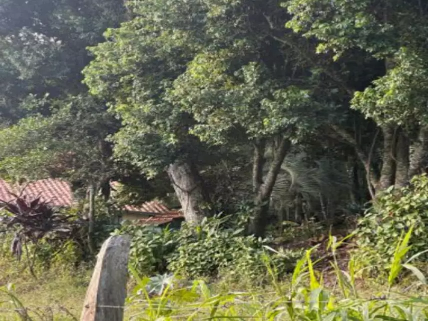 Leilão de Terreno Imóvel em Igrejinha/RS - Lance Inicial R$ 215.448 - Extrajudicial