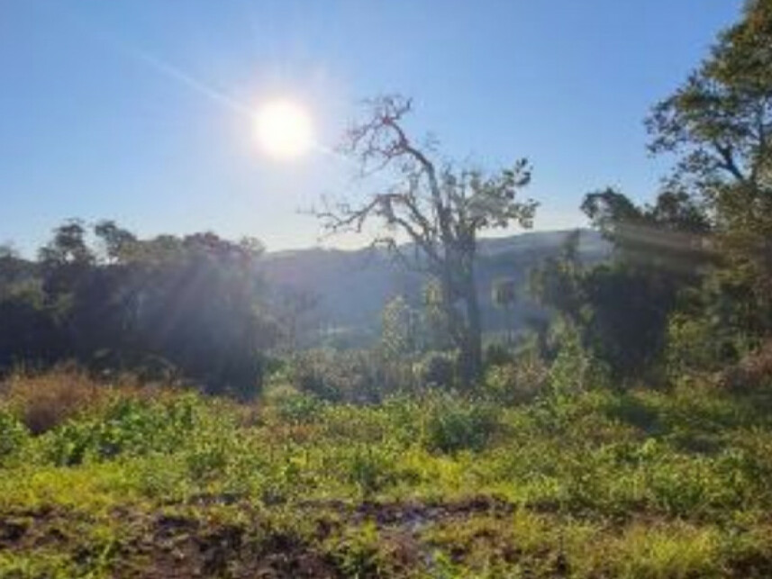 Imagem 4 do Leilão de Terreno - Interior - Cordilheira Alta/SC