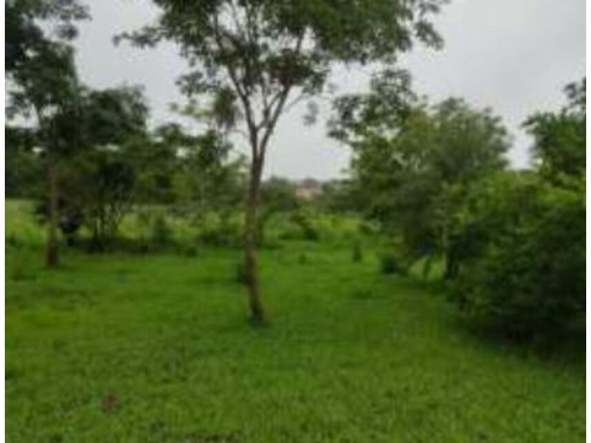 Imagem 8 do Leilão de Terreno - Chácaras Saia Velha - Cidade Ocidental/GO