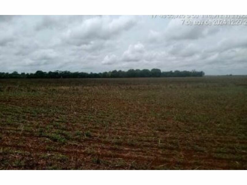 Imagem 9 do Leilão de Área Rural - Zona Rural - Goiatuba/GO