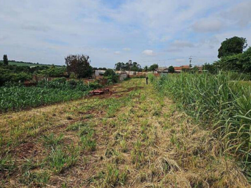 Imagem 3 do Leilão de Terreno - Centro - Morro Agudo/SP