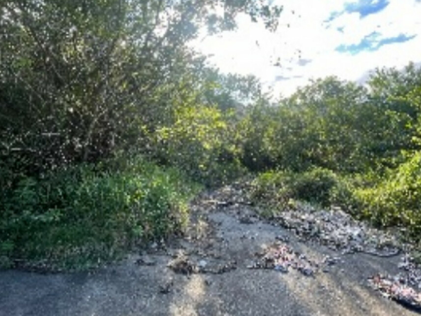 Imagem 2 do Leilão de Fazenda - Fazenda - Itajaí/SC