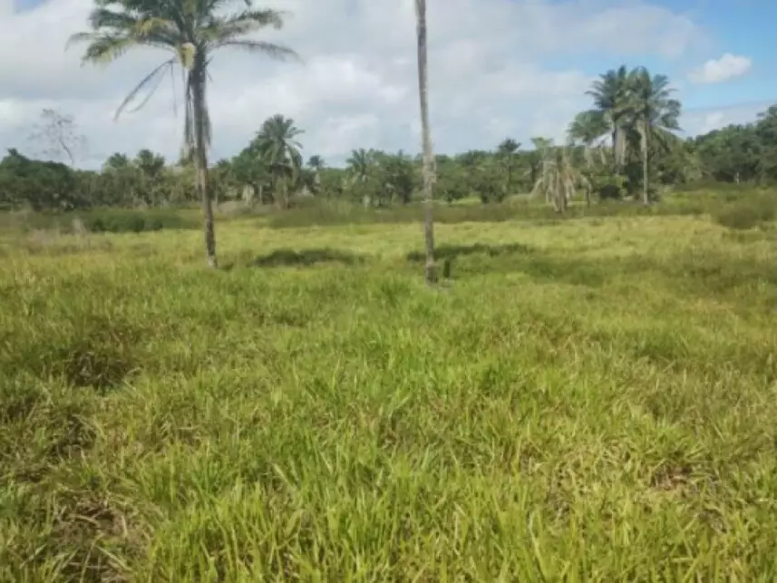 Leilão de Terreno Imóvel em Salinas da Margarida/BA - Lance Inicial R$ 60.000 - Extrajudicial