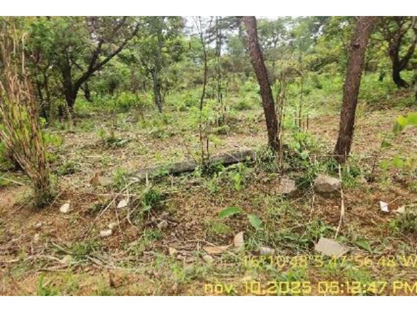 Imagem 5 do Leilão de Terreno - Mansões de Recreio Estrela Dalva Iv - Luziânia/GO