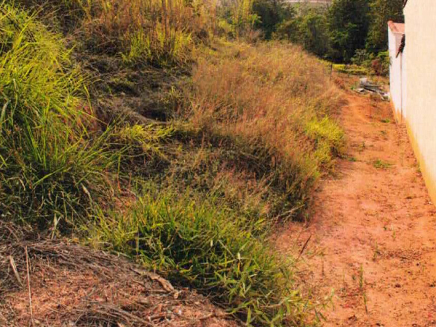 Imagem 2 do Leilão de Terreno - Loteamento Larez - Juruaia/MG