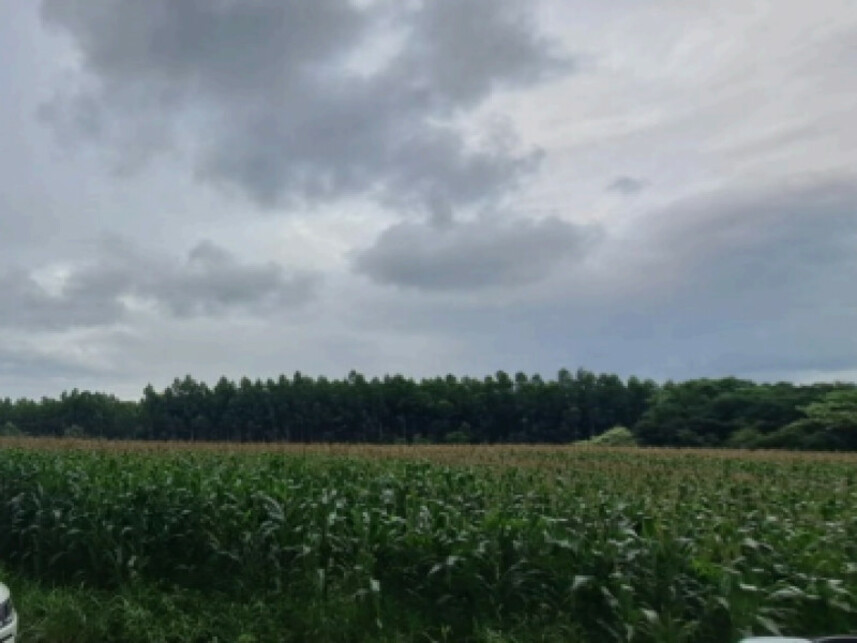 Imagem 2 do Leilão de Terreno - Distrito de Alto da Serra - Chapecó/SC